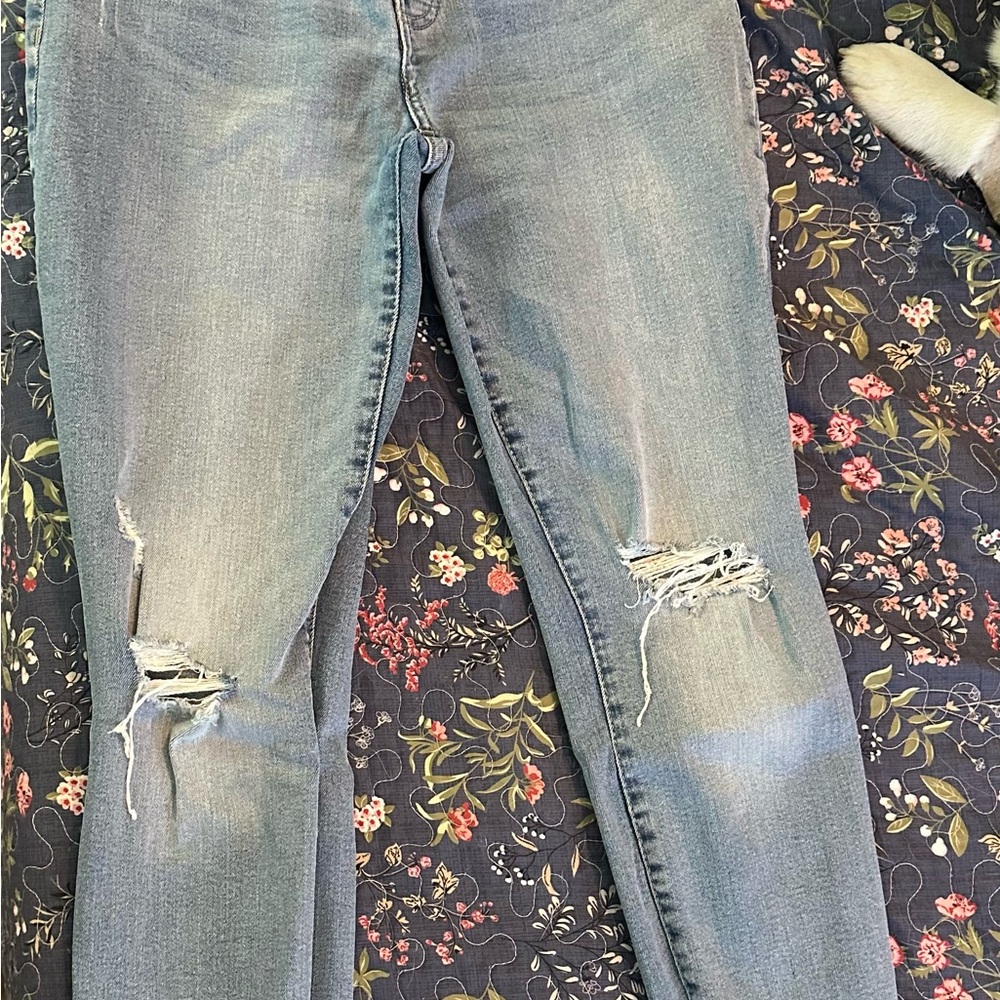 Lucky Brand “Ava” Mid Rise Skinny Jeans (Ankle Cut) Size 2/26